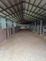 Te huur paarden accommodatie., Dieren en Toebehoren, Stalling, 4 paarden of pony's of meer
