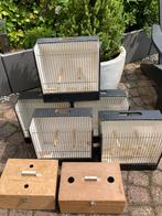 5 TT kooien en 2 vervoerskistjes, Dieren en Toebehoren, Vogels | Hokken en Kooien, Ophalen, Zo goed als nieuw, Hout, Vogelkooi
