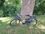 Giant Elegance e+ in nieuwstaat, Ophalen, Giant, Zo goed als nieuw, 51 tot 55 cm