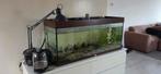 Aquarium van 120 x 50 x 40 inclusief pomp, Dieren en Toebehoren, Vissen | Aquaria en Toebehoren, Ophalen, Leeg aquarium