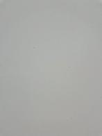 HPL fineer platen wit 280x131,5cm 0,8mm dik ( 563 ), Doe-het-zelf en Verbouw, Platen en Panelen, Ophalen, HPL, Nieuw, Nvt