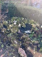 Tuin stenen / keien / rotsen, Ophalen, Overige materialen, Gebruikt, Kei