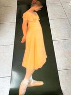 Verkerke deurposter, Ophalen of Verzenden, Nieuw, Film en Tv