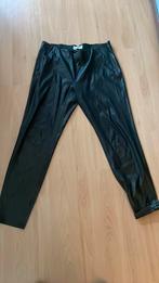 Sandwich 44, Kleding | Dames, Leggings, Maillots en Panty's, Legging, Zwart, Ophalen of Verzenden, Sandwich