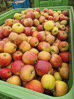 Goudreinet appels €0,25 per kilo, Ophalen of Verzenden
