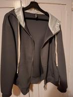 Stoer grijs met zilver sweatvest, Verzenden, Maat 42/44 (L), Iz Naiz, Zo goed als nieuw