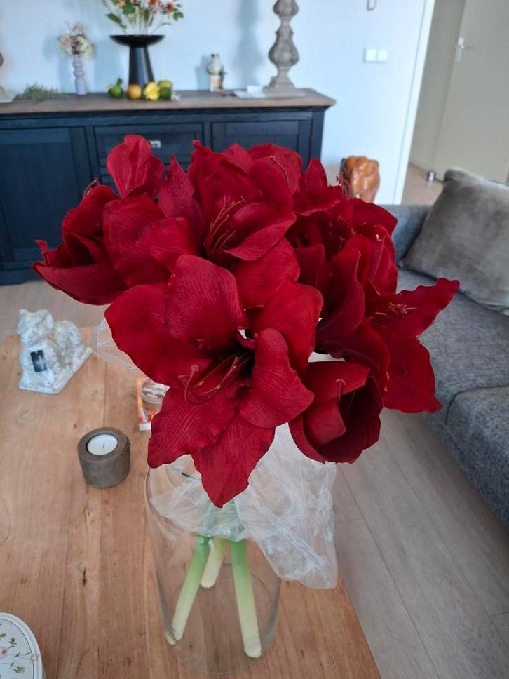 3 Zijden amaryllis in glazen vaas/pot, zonder vaas 9 euro!, Huis en Inrichting, Woonaccessoires | Kunstplanten en Kunstbloemen