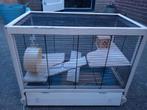 Muizen of ratten kooi, Dieren en Toebehoren, Kooi, Minder dan 75 cm, Zo goed als nieuw, Ophalen
