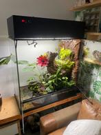 Schitterend paludarium + tricolor gifkikkers en 1 gekko, Dieren en Toebehoren, Reptielen en Amfibieën | Toebehoren, Ophalen, Zo goed als nieuw