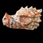 ryoliet (money agaat) draak 10 cm edelstenen mineralen, Ophalen of Verzenden, Mineraal