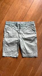 Licht groene Jacob Cohen short maat 32, Ophalen of Verzenden, Gedragen, Maat 48/50 (M), Groen