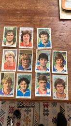 Ajax panini vanderhout 1979-1980, Verzenden, Zo goed als nieuw, Ajax, Poster, Plaatje of Sticker