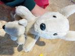 Cute kangoroo teddy, Ophalen, Gebruikt, Overige typen