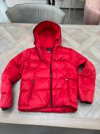 Polo Ralph Lauren jas rood mt 14-16 jaar, Jongen of Meisje, Ophalen of Verzenden, Zo goed als nieuw, Polo Ralph Lauren