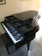 Rippen vleugel, grand piano, Ophalen