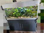 Aquarium high tech 130cm lang +/-400 l Veldhuis te koop, Dieren en Toebehoren, Ophalen, Zo goed als nieuw
