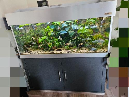Aquarium high tech 130cm lang +/-400 l Veldhuis te koop, Dieren en Toebehoren, Vissen | Aquaria en Toebehoren, Zo goed als nieuw