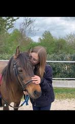 Verzorger aangeboden, Dieren en Toebehoren, Paarden en Pony's | Verzorgingsproducten, Nieuw, Ophalen of Verzenden