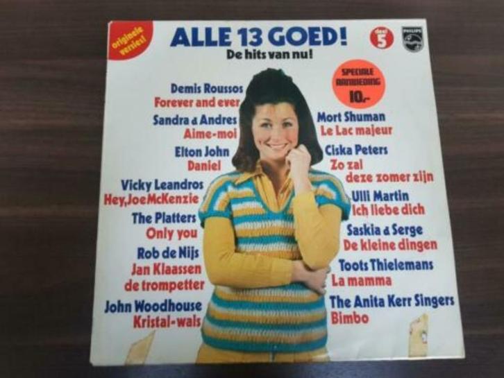 Alle 13 Goed! 5 (De Hits Van Nu), Cd's en Dvd's, Vinyl | Verzamelalbums, Zo goed als nieuw, Pop, 12 inch, Ophalen