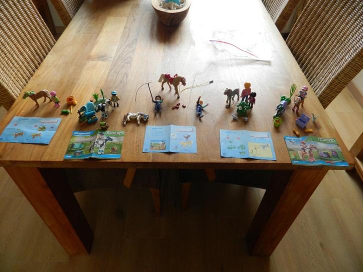 5 paardensetjes ( zgan en met boekje ) los 5,- of samen 20,-, Kinderen en Baby's, Speelgoed | Playmobil, Zo goed als nieuw, Complete set