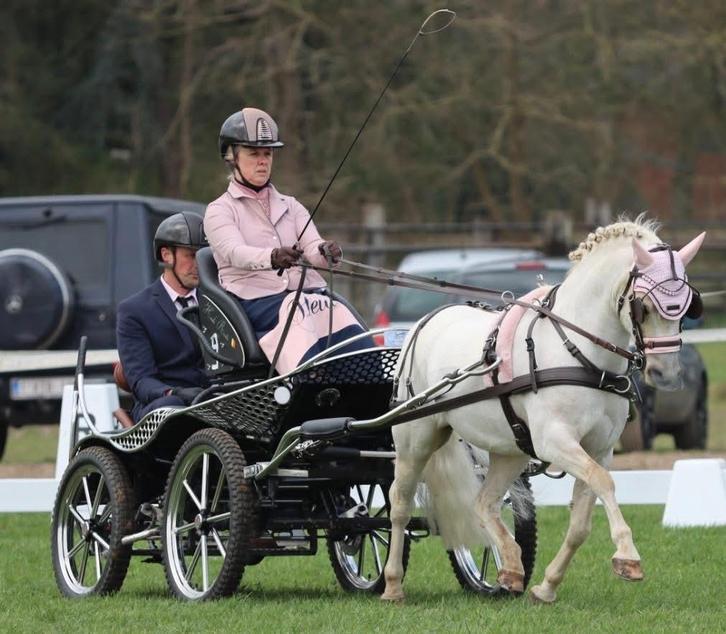 Demo shetland tuig SAM, Dieren en Toebehoren, Paarden en Pony's | Hoofdstellen en Tuigage, Overige soorten, Ophalen of Verzenden