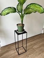 Plantentafeltje (22x22x60), Ophalen, Minder dan 55 cm, Gebruikt, Metaal of Aluminium