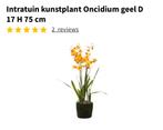 Kunst orchidee, Huis en Inrichting, Ophalen of Verzenden, Nieuw