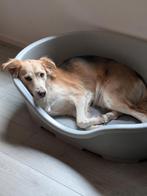 Hondenmand medium 77x50cm, Dieren en Toebehoren, Hondenmanden, Ophalen, Gebruikt, Polyester