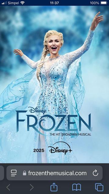 Frozen musical 16 maart 2 kaartjes  beschikbaar voor biedingen