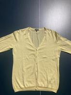 HET! Vestje, HET!, Geel, Maat 46/48 (XL) of groter, Ophalen of Verzenden