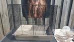 Hamsterkooi met accessoires, Dieren en Toebehoren, Knaagdieren en Konijnen | Hokken en Kooien, Kooi, Gebruikt, Minder dan 75 cm