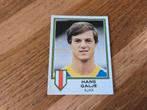 Panini Voetbal 81, Verzamelen, Sportartikelen en Voetbal, Ophalen of Verzenden, Zo goed als nieuw, Ajax, Poster, Plaatje of Sticker