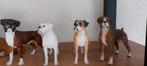 Boxer Honden Beelden Collectie, Ophalen of Verzenden, Zo goed als nieuw, Dier