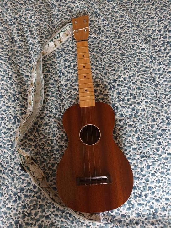 Brüko tenor ukulele, Muziek en Instrumenten, Snaarinstrumenten | Overige, Gebruikt, Ukelele, Ophalen