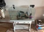 Schildpadden aquarium met toebehoren, Ophalen, Zo goed als nieuw, Leeg aquarium