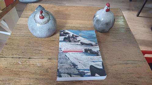 Antisemitisme, actualiteit van een historische ontwikkeling, Boeken, Geschiedenis | Vaderland, Gelezen, 20e eeuw of later, Ophalen of Verzenden