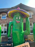 Carnavals poppen cactus, Ophalen, Zo goed als nieuw, Carnaval