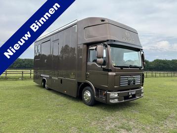 MAN TGL 7.5T 4-paards paardenvrachtwagen LIVING (bj 2006) beschikbaar voor biedingen