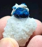 LAZURIET & FLOGOPIET, AFGHANISTAN (=UV), Verzamelen, Mineralen en Fossielen, Ophalen of Verzenden, Mineraal