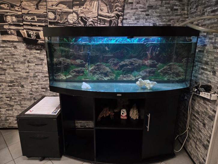 aquarium 400L Juwel Vision 450 Black, Dieren en Toebehoren, Vissen | Aquaria en Toebehoren, Nieuw, Gevuld zeewateraquarium, Ophalen of Verzenden