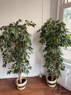 Twee grote kunstplanten in mand, Huis en Inrichting, Woonaccessoires | Kunstplanten en Kunstbloemen, Ophalen, Zo goed als nieuw