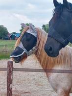 Stalling in muntendam, Dieren en Toebehoren, Stalling en Weidegang, Stalling