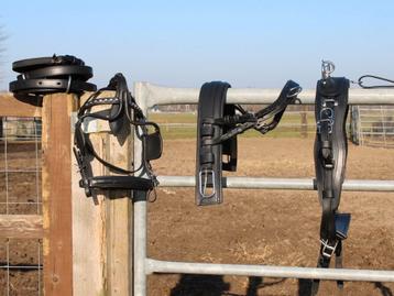 Te koop zwart mini shetlander en shetlander mentuig  beschikbaar voor biedingen