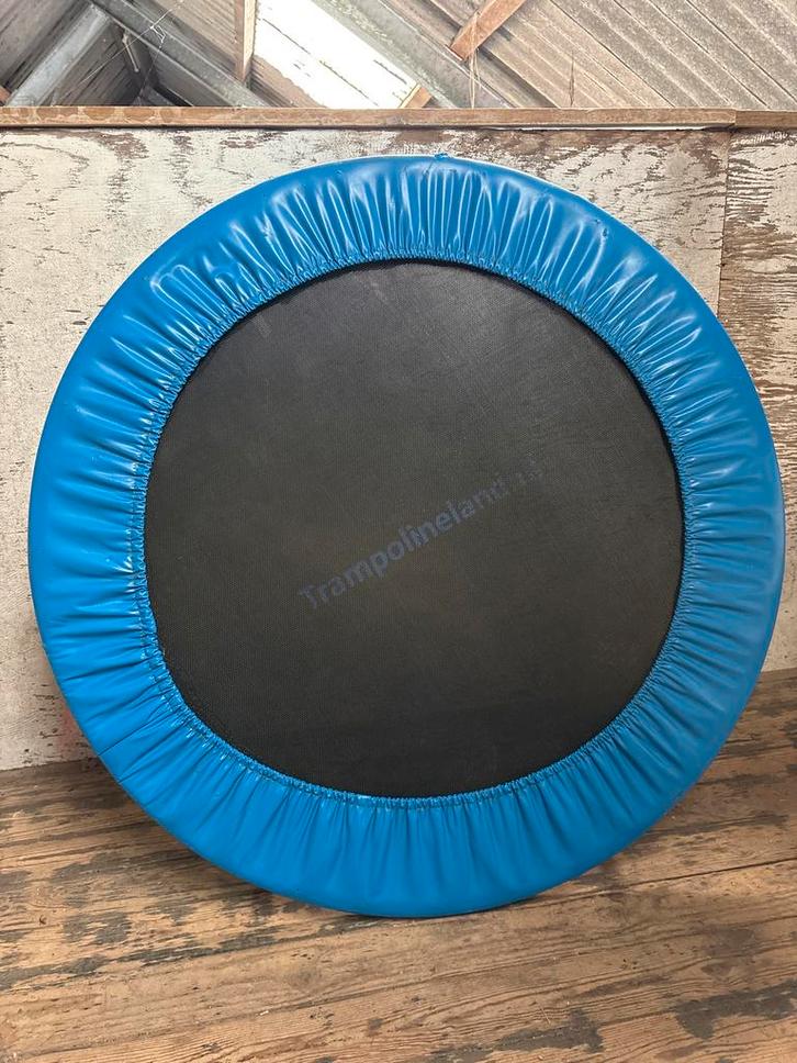 Mini Trampoline - Perfect voor Fitness!, Sport en Fitness, Fitnessmaterialen, Zo goed als nieuw, Overige typen, Benen, Ophalen