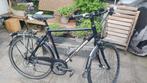 Gazelle dames lage instap,Omafiets grijs,Koga,Trek dames., Fietsen en Brommers, Fietsen | Dames | Damesfietsen, 53 tot 56 cm, Versnellingen