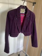Mooi corduroy jasje, geheel gevoerd. Kort model. Mt 40, Maat 38/40 (M), Paars, Ophalen of Verzenden, Steps