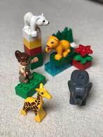 Lego Duplo kleine dierentuin, Ophalen of Verzenden, Zo goed als nieuw, Duplo