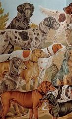 2 x litho uit 1895 Honden Hondenrassen, Verzamelen, Verzenden, Voor 1940, Gebruikt, Dier