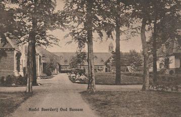 Oud Bussum Mooie Oude Gelopen Kaart met Model Boerderij. beschikbaar voor biedingen