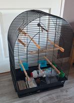 Vogelkooi Parkiet-Kanarie (L54XD34XH74), Ophalen, Zo goed als nieuw, Metaal, Vogelkooi